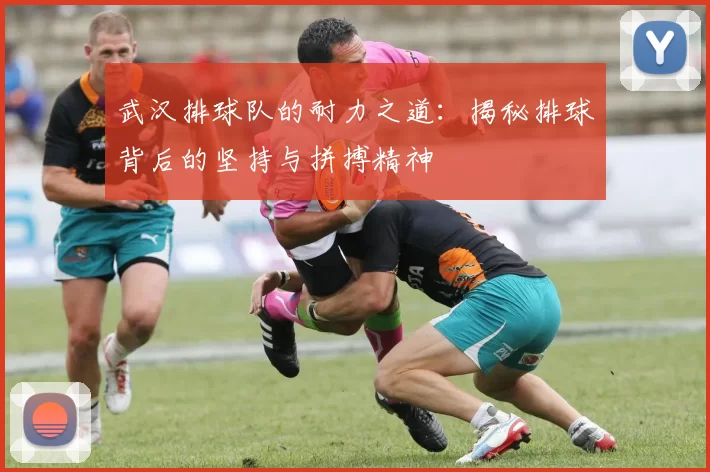 武汉排球队的耐力之道：揭秘排球背后的坚持与拼搏精神
