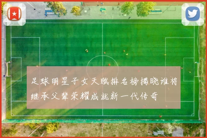 足球明星子女天赋排名榜揭晓谁将继承父辈荣耀成就新一代传奇