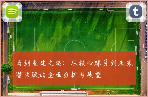 马刺重建之路：从核心球员到未来潜力股的全面分析与展望