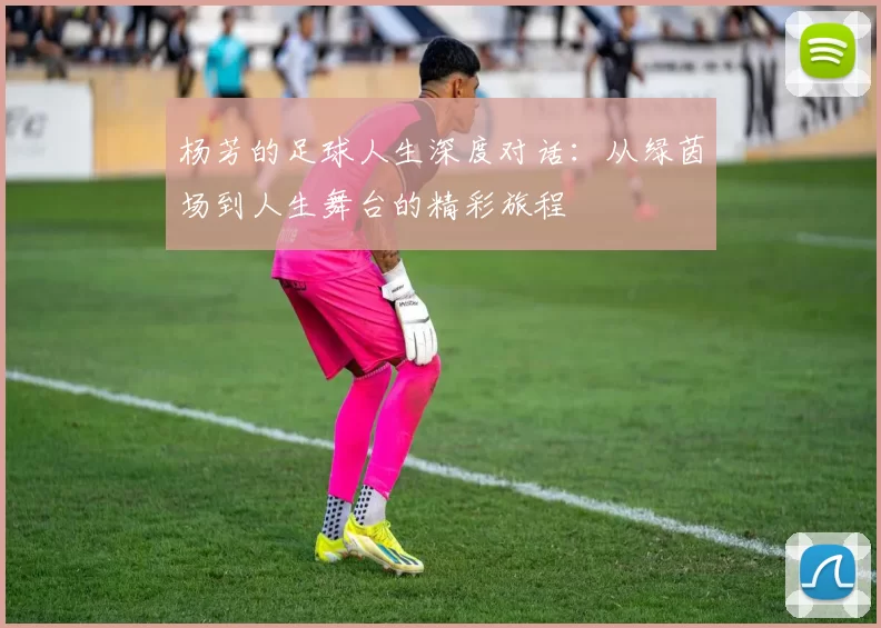 杨芳的足球人生深度对话：从绿茵场到人生舞台的精彩旅程