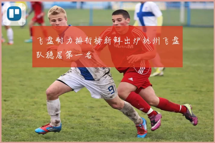 飞盘耐力排行榜新鲜出炉杭州飞盘队稳居第一名