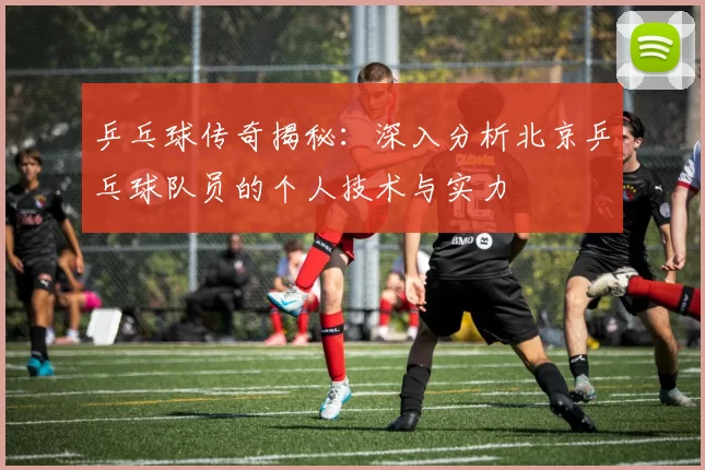 乒乓球传奇揭秘：深入分析北京乒乓球队员的个人技术与实力