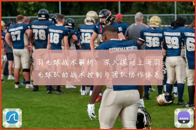 羽毛球战术解析：深入探讨上海羽毛球队的战术控制与团队协作体系