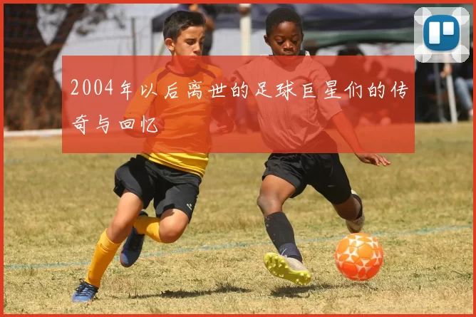 2004年以后离世的足球巨星们的传奇与回忆