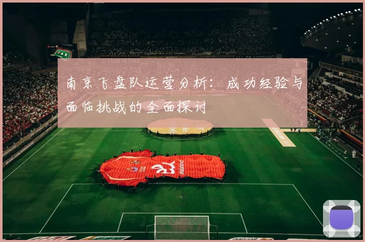 南京飞盘队运营分析：成功经验与面临挑战的全面探讨