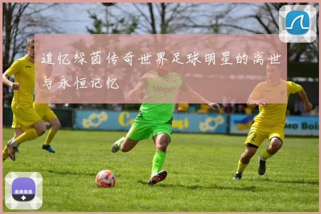 追忆绿茵传奇世界足球明星的离世与永恒记忆