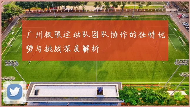 广州极限运动队团队协作的独特优势与挑战深度解析