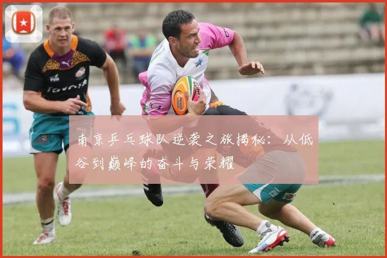 南京乒乓球队逆袭之旅揭秘：从低谷到巅峰的奋斗与荣耀