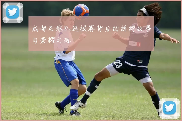 成都足球队选拔赛背后的拼搏故事与荣耀之路