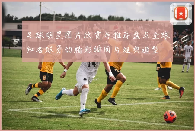 足球明星图片欣赏与推荐盘点全球知名球员的精彩瞬间与经典造型