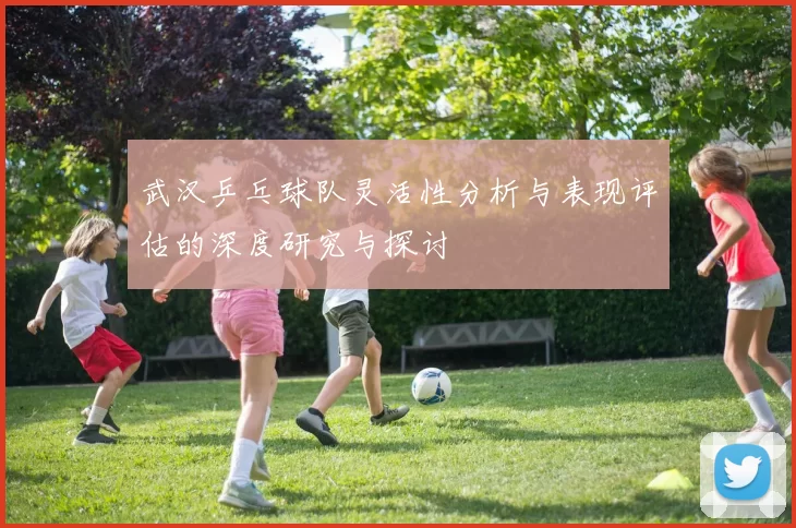 武汉乒乓球队灵活性分析与表现评估的深度研究与探讨