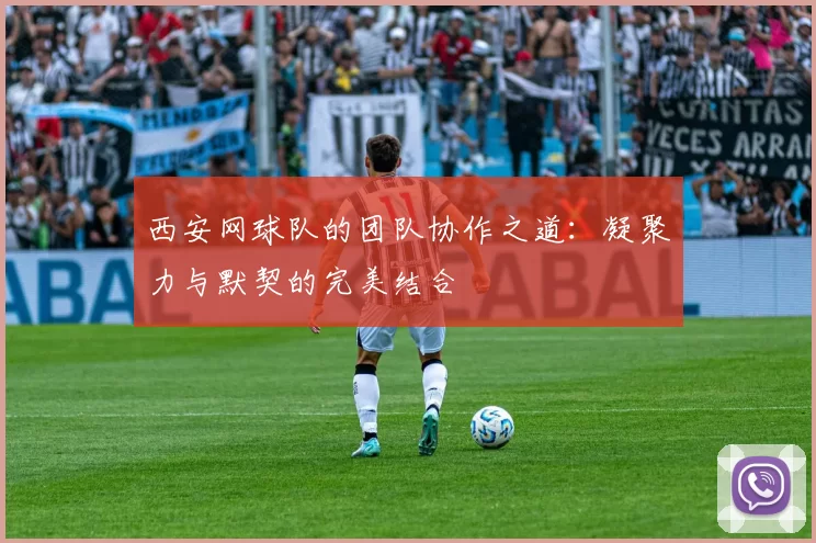 西安网球队的团队协作之道：凝聚力与默契的完美结合