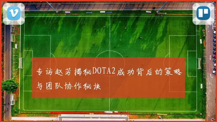 专访赵芳揭秘DOTA2成功背后的策略与团队协作秘诀
