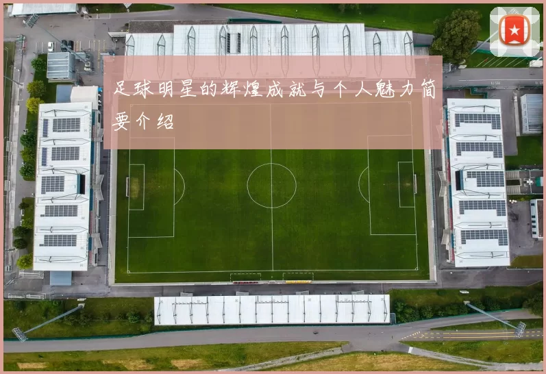 足球明星的辉煌成就与个人魅力简要介绍