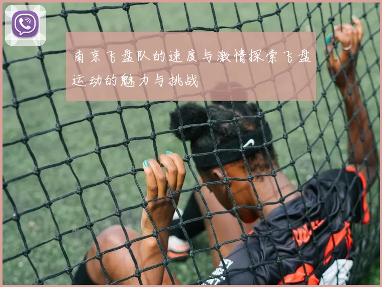 南京飞盘队的速度与激情探索飞盘运动的魅力与挑战